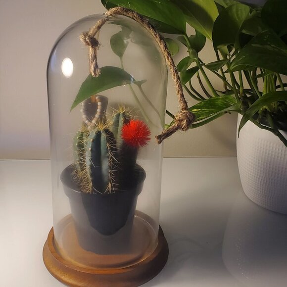 Glass Dome Terrarium / Display Case with Wood Base - Tall - Picture 1 of 5
